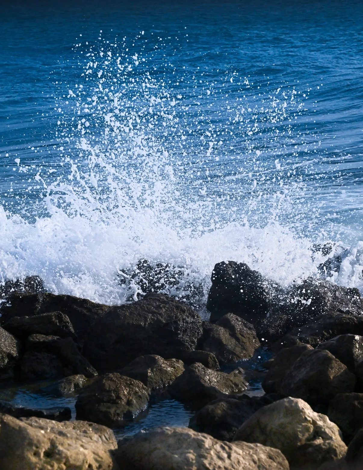 Photograph by Elad